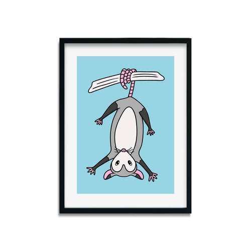 Possum | Nocturnal Creatures | Art Print - Scaredy Cat Studio